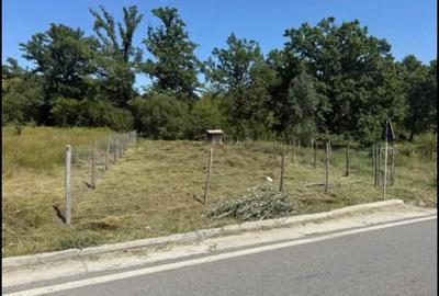 Teren de 545 mp, în Padeș - 1