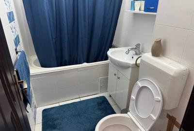 Apartament cu 2 camere semidecomandat, mobilat în Drumul Taberei - 14