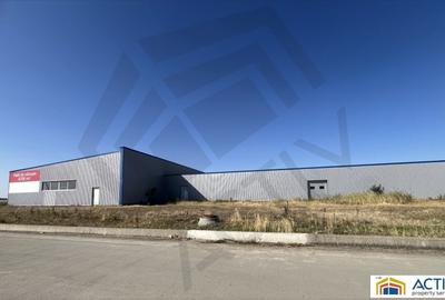 Inchiriere sau vânzare hală Banat Business Park - 1