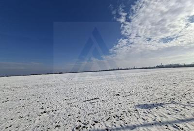 Teren intravilan 19397 mp PUZ si utilitati la DN in zona Buftea Lac - 10