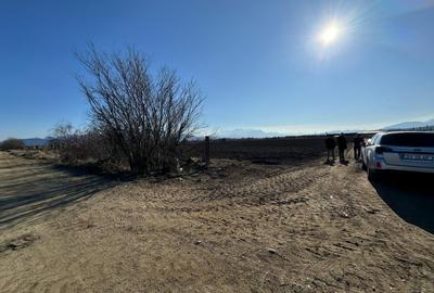 Teren construcții/hale industriale - Se acceptă și variante - 4