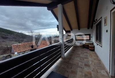 Casa de vacanta - pensiune 96 mp teren de 875 mp in Rasinari Sibiu - 2