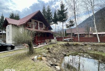 Casă cu 4 camere cu Teren 2985 Mp în Tarcău - 16