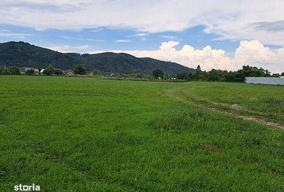 Teren de 17500 mp, în Central - 3