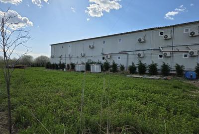 Casă individuală cu 40 camere cu Canalizare în Ștefăneștii de Jos - 11