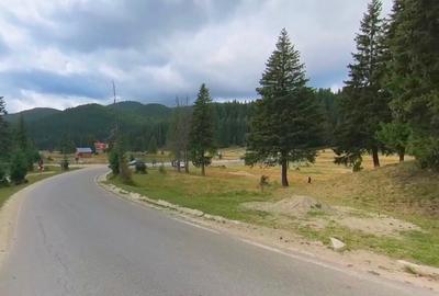 Teren intravilan Moroeni (Padina-Peștera) 2000 mp – Direct Proprietar - 4