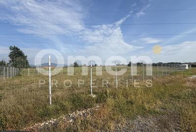 Teren Construcții intravilan de 6561 mp, în Exterior Est - 5