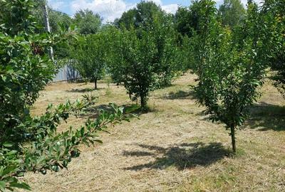 Casă cu 2 camere în Ionești - 5