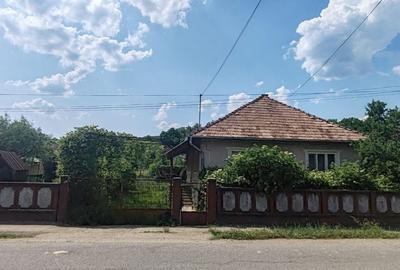 Casă cu 3 camere cu Teren 700 Mp în Românași - 8