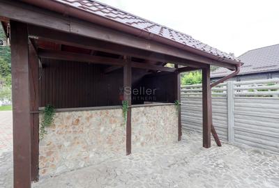 Proximitate imediata fata de Castelul Bran - 45