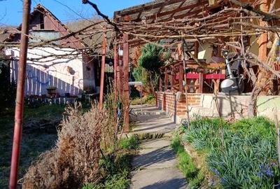 Casa de vanzare - 4