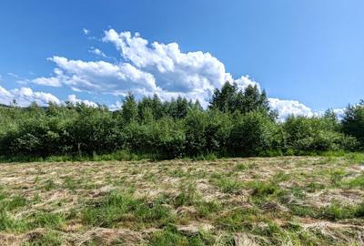 1,3 HA TEREN EXTRAVILAN, Muntii Apuseni, Negreni, jud. Cluj, la 5 km de E60 - 6