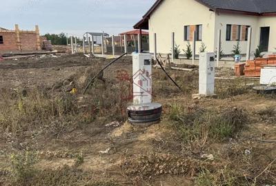 Teren parcelabil cu toate utilitatile 10.000 mp Mo?ni?a Noua 18 /mp - 1