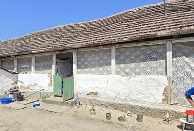 Casa batraneasca de vanzare Paulis - 3