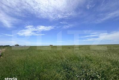 Teren de 1500 mp, în Brazda lui Novac - 1