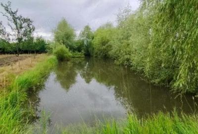 Casa Ru?eni , hala industriala, balta de pescuit , 1,5 ha teren - 2