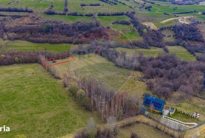 Spațiu comercial, în Tohănița - 5