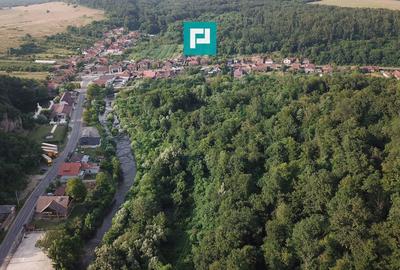 Teren Construcții intravilan de 13861 mp, în Est - 25