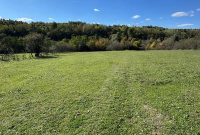 Teren de 2878 mp, în Tapia - 4