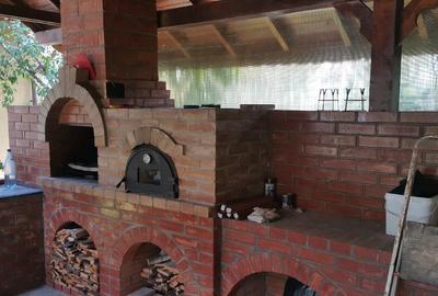 Casa unifamiliala Malu Cu Flori, Dambovita - 3