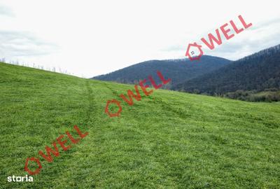 Spațiu comercial, în Olteni - 2