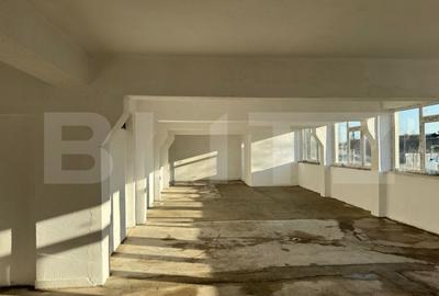 Birou, de 575 mp, în Podari - 1