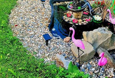 Casă cu Teren 1000 Mp în Central - 6