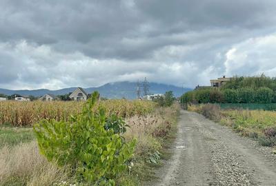 Teren industrial pretabil hala P.U.Z aprobat! Teren industrial pretabil hala P.U.Z aprobat! - 5