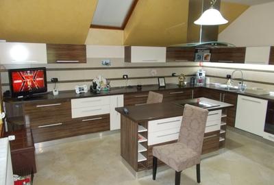 Vila P+M, Sag, 4 camere, 260mp util, 750mp teren, mobilat, utilat - 9