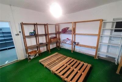 Casă cu Teren 719 Mp în Ciclova Română - 16