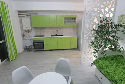 Garsonieră semidecomandată în Roșu - 3