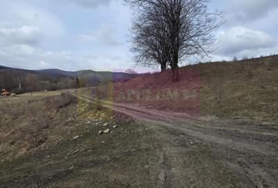 Teren Construcții intravilan de 2220 mp, în Valea Doftanei - 5