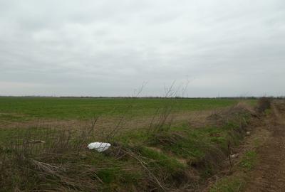 Teren Construcții intravilan de 10000 mp, în Butimanu - 2