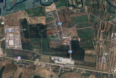 Teren Construcții intravilan de 1453 mp, în Jucu de Mijloc - 2