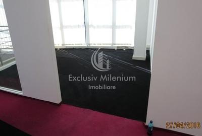 Stefan cel Mare / Comerciale/Birouri/ Hala industriala Stefan cel Mare / Comerciale/Birouri/ Hala industriala - 6