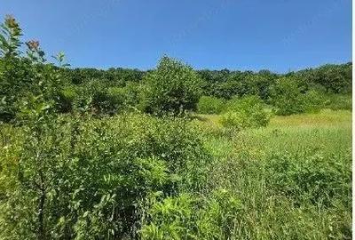 Teren Duda Epureni, ID: R2609594 - 6