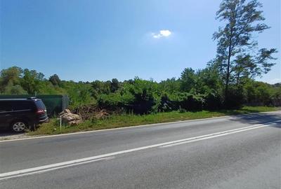 Teren Construcții intravilan de 5615 mp, în Calea Caransebeșului - 14