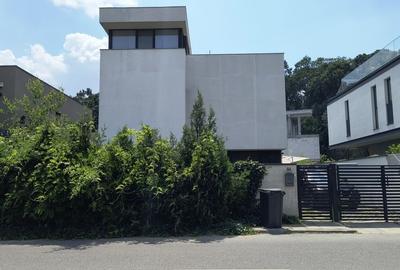 Baneasa- Padure- Greenfield - 1