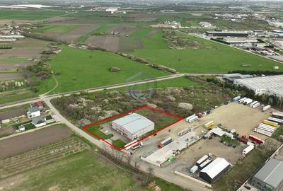 Hala industriala P+E Zona Industriala Bors - 9