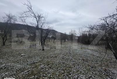 Teren de 9066 mp, în Aninoasa - 5