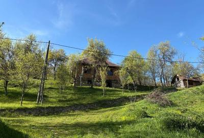 Casă cu 4 camere în Blăjeni - 1