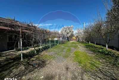 Casă cu 3 camere cu Teren 1000 Mp în Răcari - 3