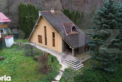 Casă cu 3 camere cu Teren 2500 Mp în Ighiu - 6