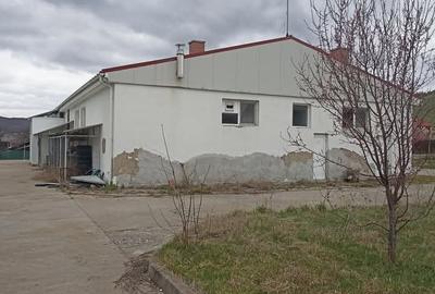 De vânzare fabrică de prelucrare a cărnii în Vâlcele - 15