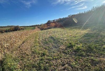 Teren de 6446 mp, în Bogdand