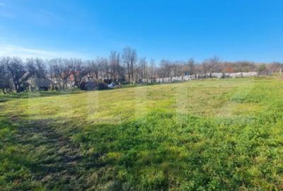 Teren de 2989 mp, în Bună Ziua - 2