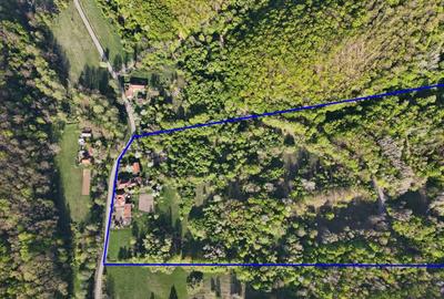 Casă cu 4 camere în Burjuc - 6