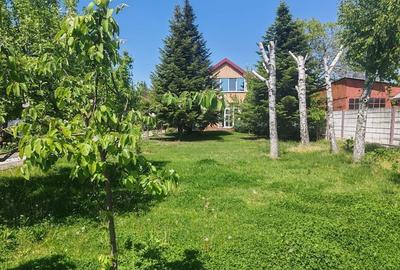 Casa superba Clinceni  Judeul Ilfov