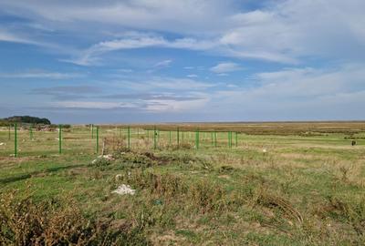 Spațiu comercial, în Vadu - 11