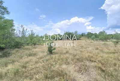 Casă cu 2 camere cu Teren 5209 Mp în Mușetești - 5